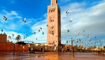 Morocco excursions