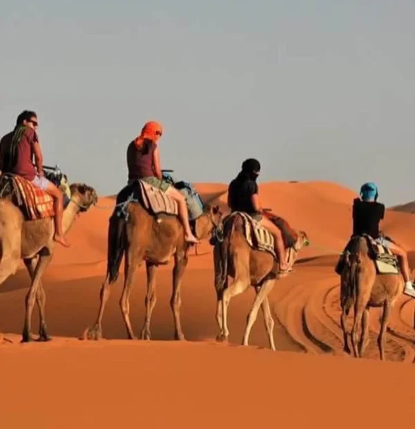 The Timbuktu Trading Route