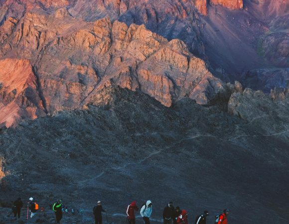 Mules, Mountains & Desert Dreams