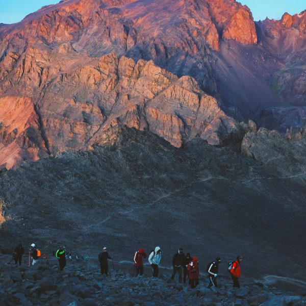 Mules, Mountains & Desert Dreams