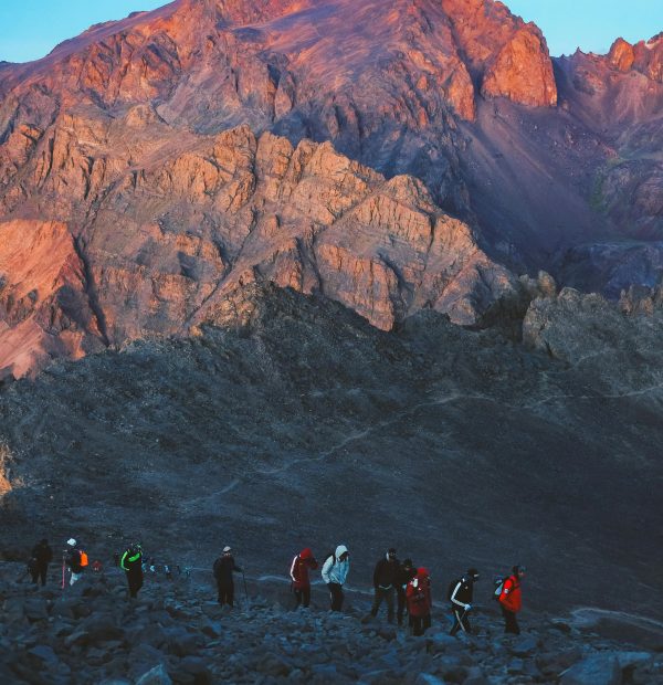 Mules, Mountains & Desert Dreams